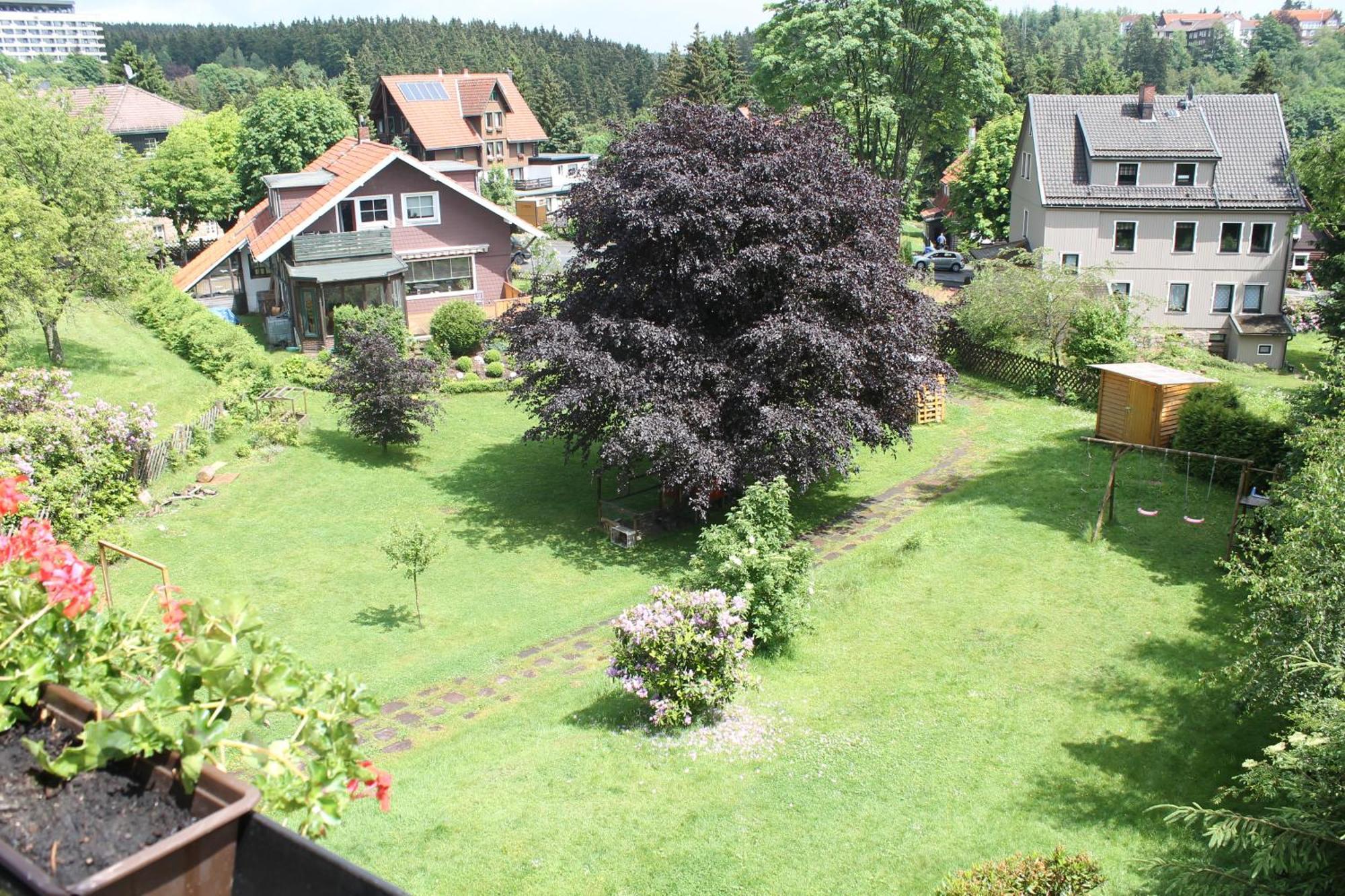 Hotel Ulrichshof Braunlage Exteriér fotografie